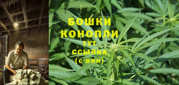 прущие крисы Сясьстрой