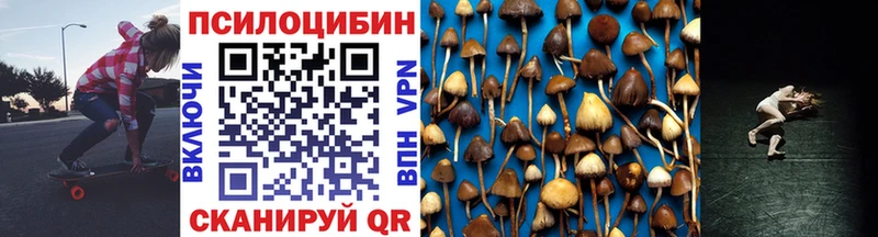 Псилоцибиновые грибы Psilocybine cubensis Юрга